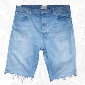 Everlane Summer Slouch Jean Cut Off Raw Hem Burmeda Length Faded Denim Shorts